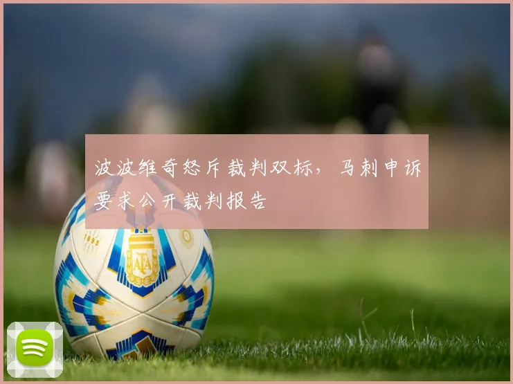 波波维奇怒斥裁判双标，马刺申诉要求公开裁判报告